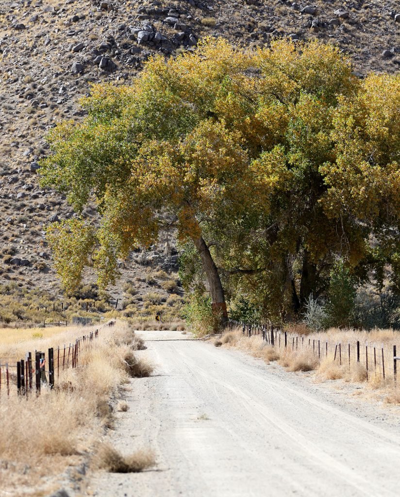 Collection 30+ Stock Images walker river state recreation area photos Superb