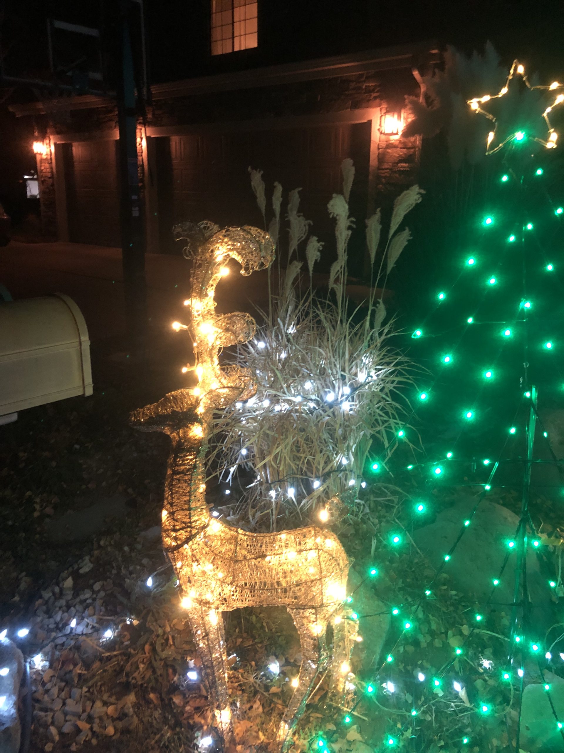 Christmas Lights 2022 Nov 24 (5) The Pizen Switch Times