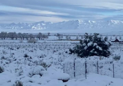 Smith Valley, January 2023~ Courtesy of Amy Smith