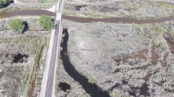 Walker River at Miller Lane Bridge on Thursday May 18, 2023~Photo by Yerington Public Works