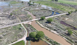 Walker River at Miller Lane Bridge on May 20, 2023 Photo by Yerington Public Works