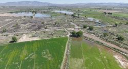 Walker River at Miller Lane Bridge on May 20, 2023 Photo by Yerington Public Works