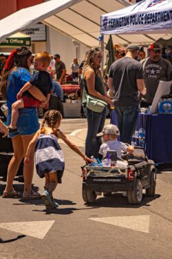 Jeff Waldaias Photography