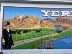 Beloved Y Hill.