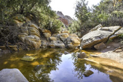 Calico Tank Trail Pond, Red Rock Canyon NV