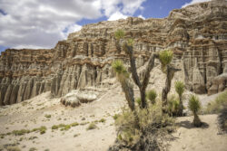 Red Cliffs in Red Rock State Park CA